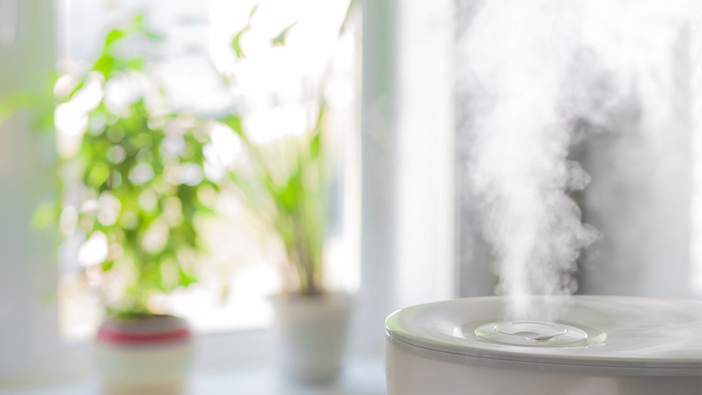 Humidifier for houseplants