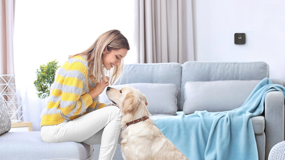 woman playing with her dog