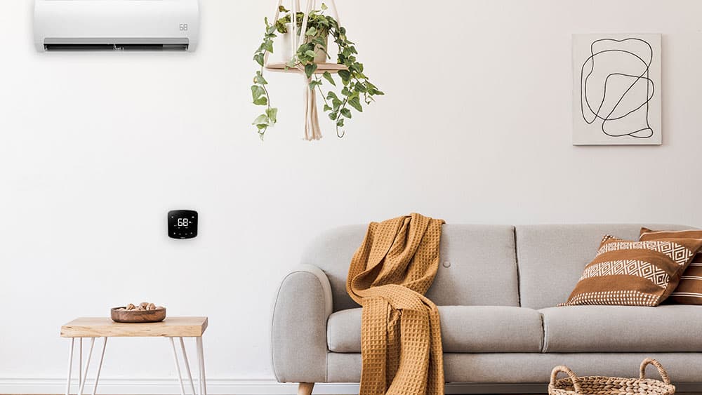 Cozy couch in the living room,