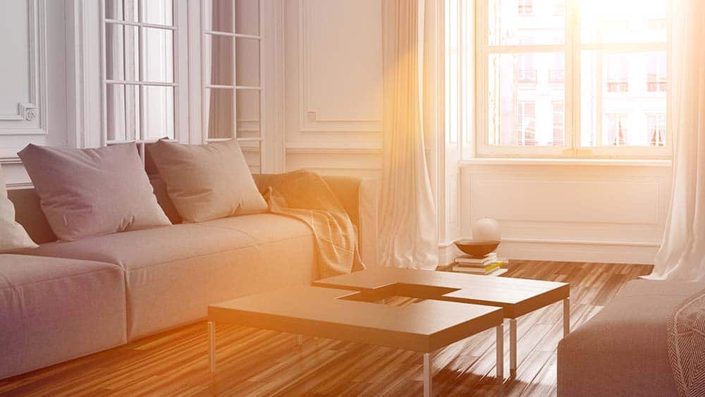 Sunshine coming through the window.