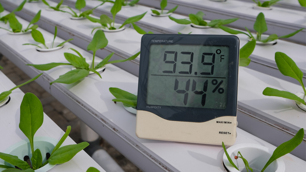 A device showing temperature and humidity levels in a grow room. 
Use grow room air conditioner to achieve ideal temperature settings and lower high humidity levels.