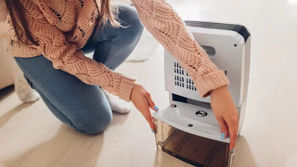 Woman cleaning the dehumidifier.