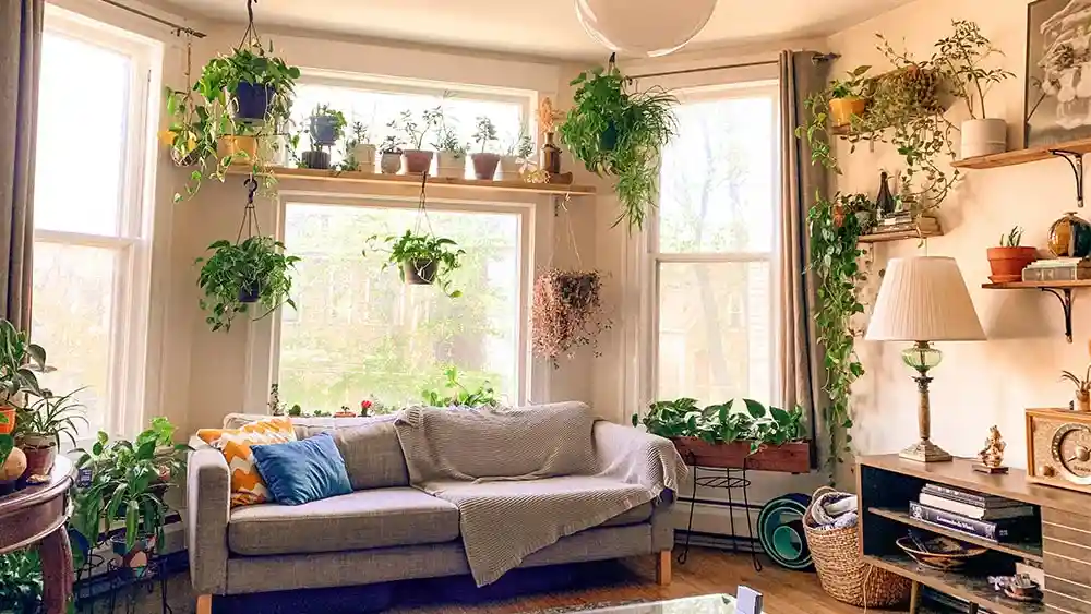 sunroom