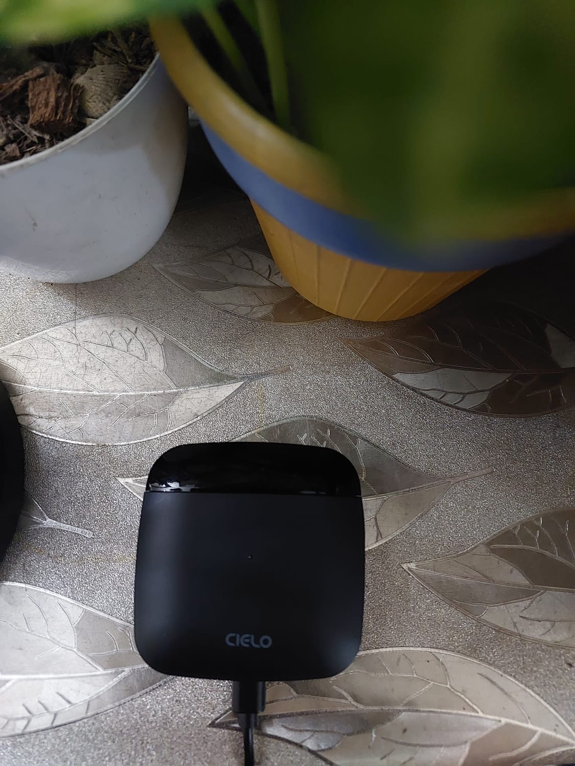 Image #1 from Evelyn