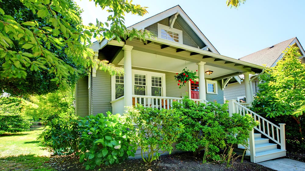 Save money on AC bill by planting a tree