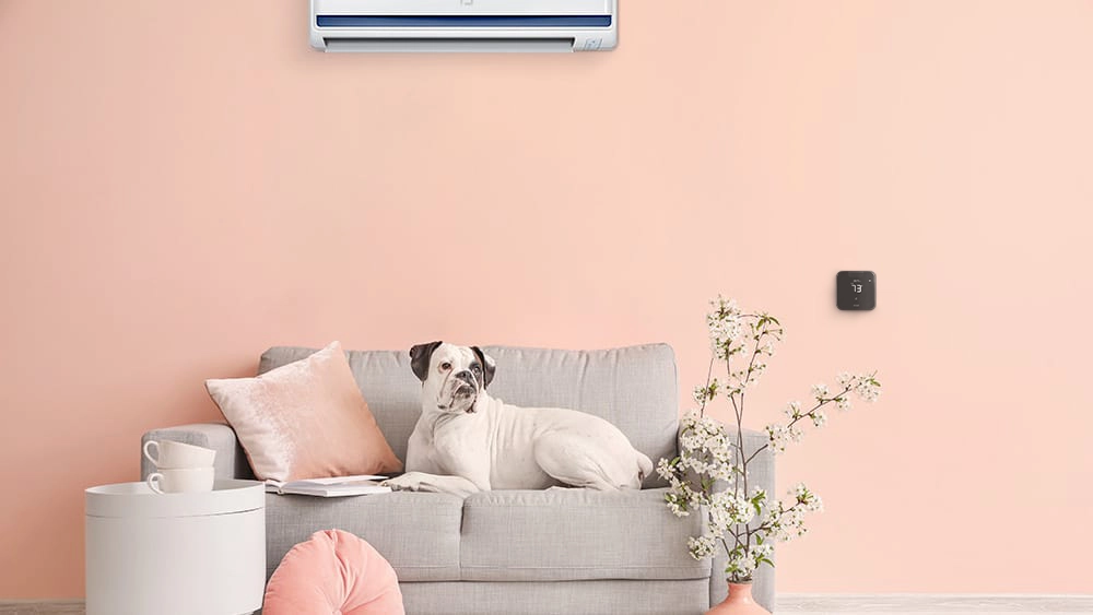 Cielo Breez Max - a mini-split thermostat installed in a living room maintaining ideal temperature for the pet dog