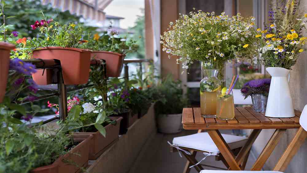 flowers and plants in apartment balcony