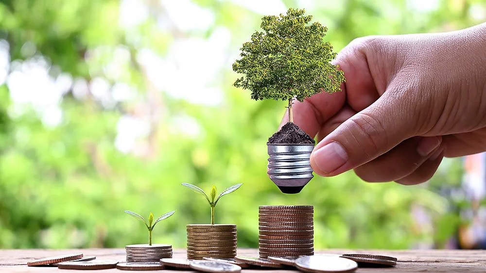energy saving depiction using a plant and coins